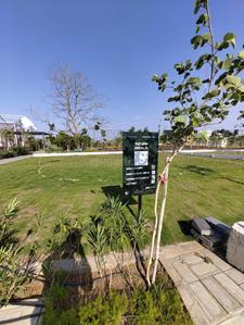 Image of 1100 Sq.ft Residential Plot / Land for sale in Godrej Forest Estate, Samruddhi Mahamarg, Nagpur for Rs. 5500000