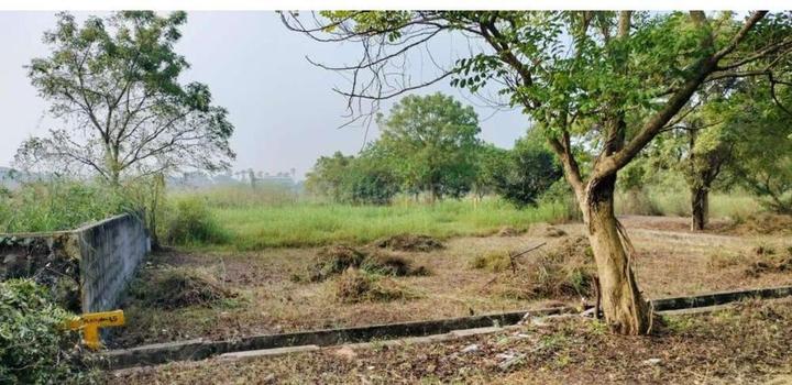 Kesarapalle Main Image 1