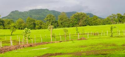 Image of 11111 Sq.ft Residential Plot / Land for sale in Shahapur, Thane for Rs. 2739000