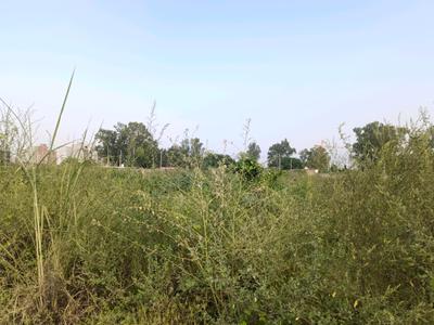 Image of 120 Sq.ft Residential Plot / Land for sale in Rohini Sector 28, New Delhi for Rs. 35000000