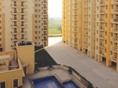 Image of 1100 Sq.ft 3 BHK Apartment / Flat for sale in Krish Icon, Sector 33, Bhiwadi for Rs. 3500000