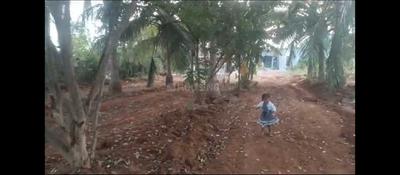 Image of 10000 Sq.ft Residential Plot / Land for sale in Attur, Salem for Rs. 20000000