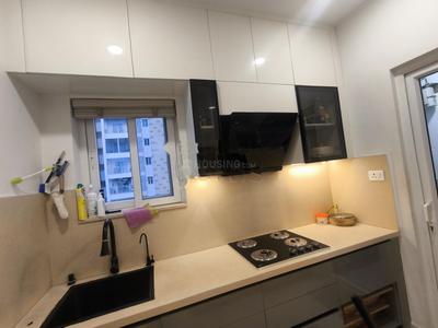 Kitchen Image of 2750 Sq.ft 3 BHK Apartment / Flat for rent in Ambience Courtyard, Manikonda Hyderabad for Rs. 100010