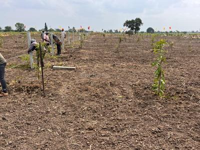 Image of 245 Sq.ft Residential Plot / Land for sale in Jogipet, Sangareddy for Rs. 968000