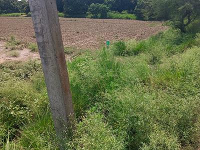 Image of 1443 Sq.ft Residential Plot / Land for sale in Nathnagar, Bhagalpur for Rs. 600000