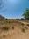 Sirsi Main Image 1