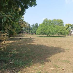 Image of 540 Sq.ft Residential Plot / Land for sale in Maruti Kunj, Gurgaon for Rs. 2520000