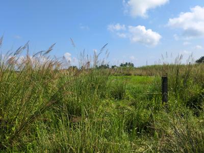 Image of 720 Sq.ft Residential Plot / Land for sale in Wander Valley, Joka, Kolkata for Rs. 300008