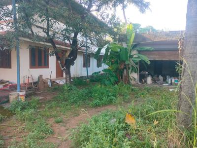 Image of 1300 Sq.ft 2 BHK Independent House for sale in Thiroor, Thrissur for Rs. 7500000