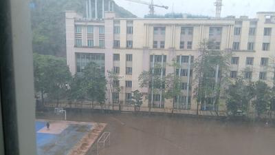 Balcony Image of 480 Sq.ft 1 BHK Apartment / Flat for sale in Hiranandani Maple A B and C Wing, Powai Mumbai for Rs. 16300000
