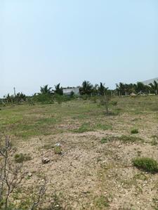 Image of 1740 Sq.ft Residential Plot / Land for sale in Pappampatti, Coimbatore for Rs. 1800000