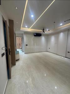 Living Room Image of 1850 Sq.ft 3 BHK Builder Floor for sale in Swaraj Homes H Block RWA Ashok Vihar, Ashok Vihar New Delhi for Rs. 38800000
