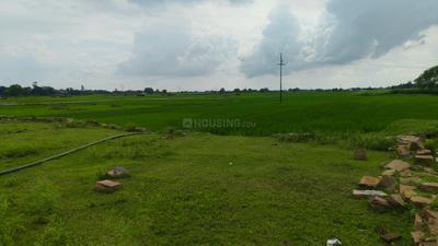 Image of 1360 Sq.ft Residential Plot / Land for sale in Adalhat, Mirzapur for Rs. 1500000