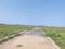 Wave City Plots Internal Roads 2