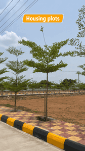 Image of 180 Sq.ft Residential Plot / Land for sale in Renikunta, Karimnagar for Rs. 1620000
