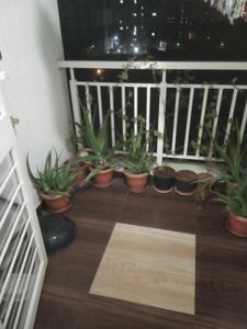Balcony Image of 429 Sq.ft 1 BHK Apartment / Flat for sale in Yewalewadi Pune for Rs. 3400000