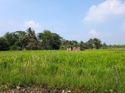 Image of 2160 Sq.ft Residential Plot / Land for sale in Natures Paradise, Joka, Kolkata for Rs. 510000