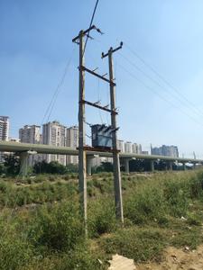 Image of 100 Sq.ft Residential Plot / Land for sale in Sector 49, Noida for Rs. 7000000