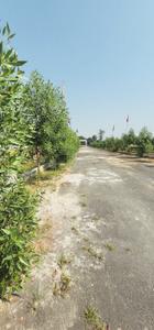 Image of 1250 Sq.ft Residential Plot / Land for sale in Gosainganj, Lucknow for Rs. 2187500