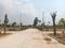 JB Serene County Internal Roads 2