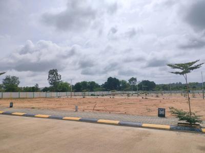 Residential Plot