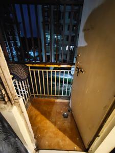 Balcony Image of 468 Sq.ft 2 BHK Apartment / Flat for rent in Eldeco City Kutir And Sukriti, Mutkkipur Lucknow for Rs. 5000