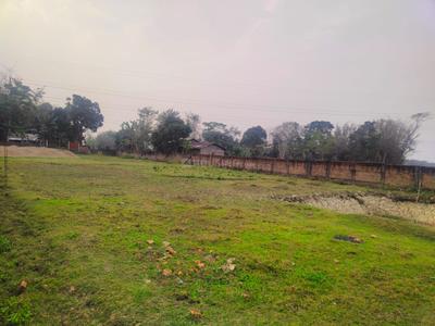 Demow Plot View 1