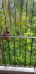 Balcony Image of 1350 Sq.ft 4 BHK Apartment / Flat for sale in Kaikhali Kolkata for Rs. 3500000