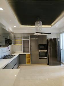 Kitchen Image of 4005 Sq.ft 4 BHK Builder Floor for sale in Sector 56 Gurgaon for Rs. 48000000