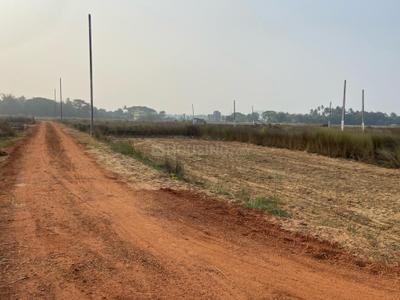 Image of 15000 Sq.ft Residential Plot / Land for sale in Hanspal, Bhubaneswar for Rs. 15000000