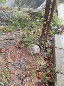 Image of 1200 Sq.ft Residential Plot / Land for sale in JR Garden Retreat, Chandapura, Bengaluru for Rs. 5400000