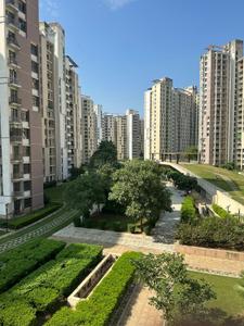 Image of 1768 Sq.ft 3 BHK Apartment / Flat for rent in Unitech Horizon, Sector PI, Greater Noida for Rs. 25000