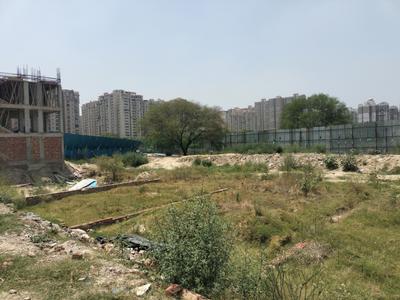 Freehold Plots in Central Noida Plot View 2