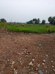 Nest Valley Internal Roads 1