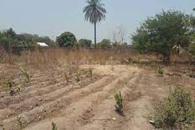 Image of 1440 Sq.ft Residential Plot / Land for sale in ASM Shree Jaswant Garden, Sector 14, Panchkula for Rs. 11577000