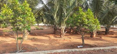 Image of 167 Sq.ft Residential Plot / Land for sale in Building Kohinoor Hills, Relli, Vizianagaram for Rs. 1800000