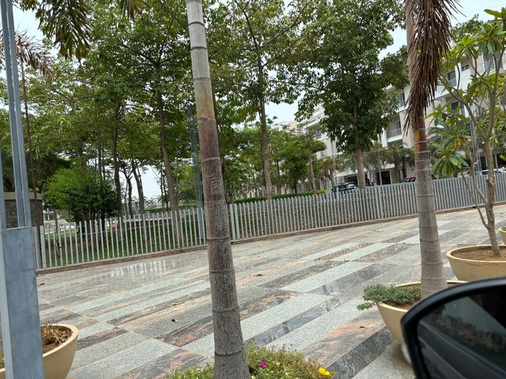 Ace Palm Floors Apartment Main Image 1