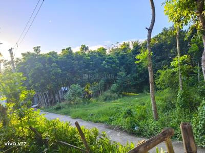 Image of 3526 Sq.ft Residential Plot / Land for sale in Payradanga, Nadia for Rs. 2650000