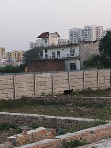 Image of 1250 Sq.ft Residential Plot / Land for sale in Anam Enclave, Juggaur, Lucknow for Rs. 3125000