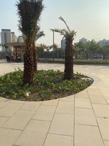 Image of 1734 Sq.ft 3 BHK Apartment / Flat for sale in Shalimar Belvedere Court 3, Gomti Nagar, Lucknow for Rs. 23000000