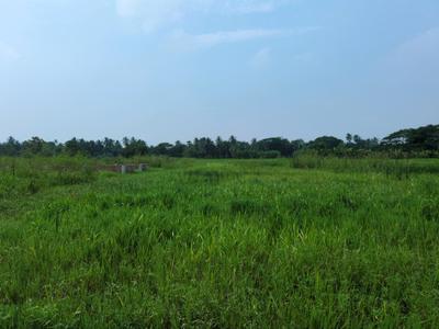 Image of 720 Sq.ft Residential Plot / Land for sale in Nest Valley, Joka, Kolkata for Rs. 160000