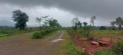 Image of 5380 Sq.ft Residential Plot / Land for sale in Trimbak, Nashik for Rs. 2950000