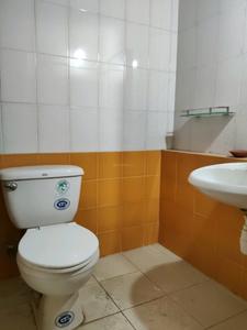 Common Bathroom Image of 1024 Sq.ft 3 BHK Apartment / Flat for rent in Lodha Upper Thane Greenville A To I E1, Bhiwandi Thane for Rs. 25999