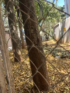 Image of 5360 Sq.ft Residential Plot / Land for sale in Balewadi, Pune for Rs. 75000000