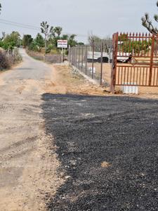Image of 1000 Sq.ft Residential Plot / Land for sale in Piprali, Sikar for Rs. 1299000