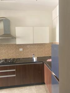 Kitchen Image of 1200 Sq.ft 2 BHK Builder Floor for rent in Sector 80 Mohali for Rs. 28000