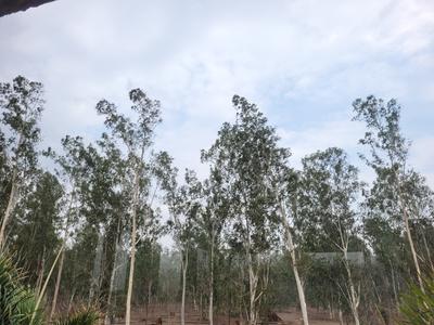 Image of 1000 Sq.ft Residential Plot / Land for sale in Aranya City Of Woodland, Pacheda 1, Raipur for Rs. 1000000