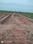 Haroon Colony Sector -II, Phulwari Sharif Plot View 2