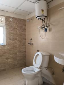 Common Bathroom Image of 1600 Sq.ft 3.5 BHK Apartment / Flat for rent in Terrace Homes, Noida Extension Greater Noida for Rs. 26050