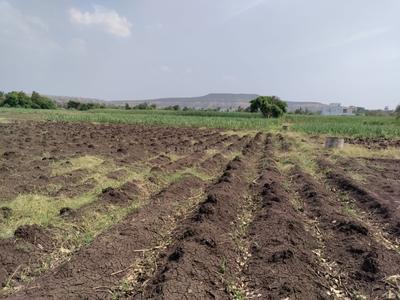 Hatkanangale Plot View 3